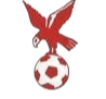 https://img.hnxxzddj.com/img/football/team/4802d26df935b78bb2fcdbbff36e8864.png