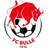 https://img.hnxxzddj.com/img/football/team/b201265fa89720bf8cd8ef95549a4738.png